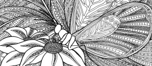 butterfly wings in b&w - Version 2