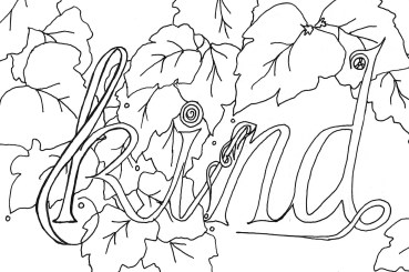 black and white line drawing by Sandy Skinner author illustrator of Journey to Beautiful colouring book; which depicts the word kind over a background of grape leaves